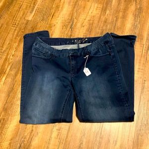 Seven7 Luxe Skinny jeans, size 14 (#4)